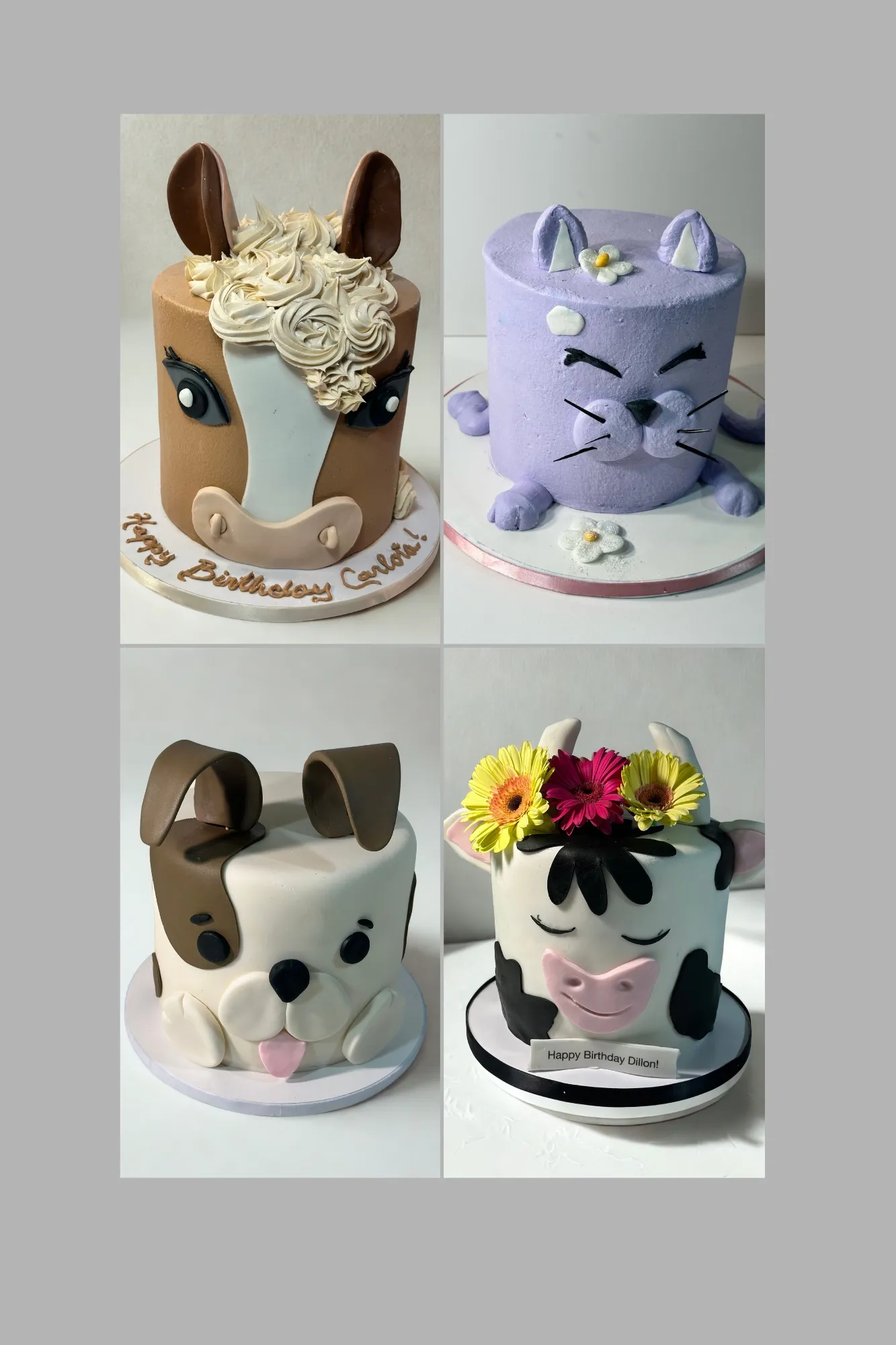 Custom 3D animal cakes by Cakes Chocolates and More